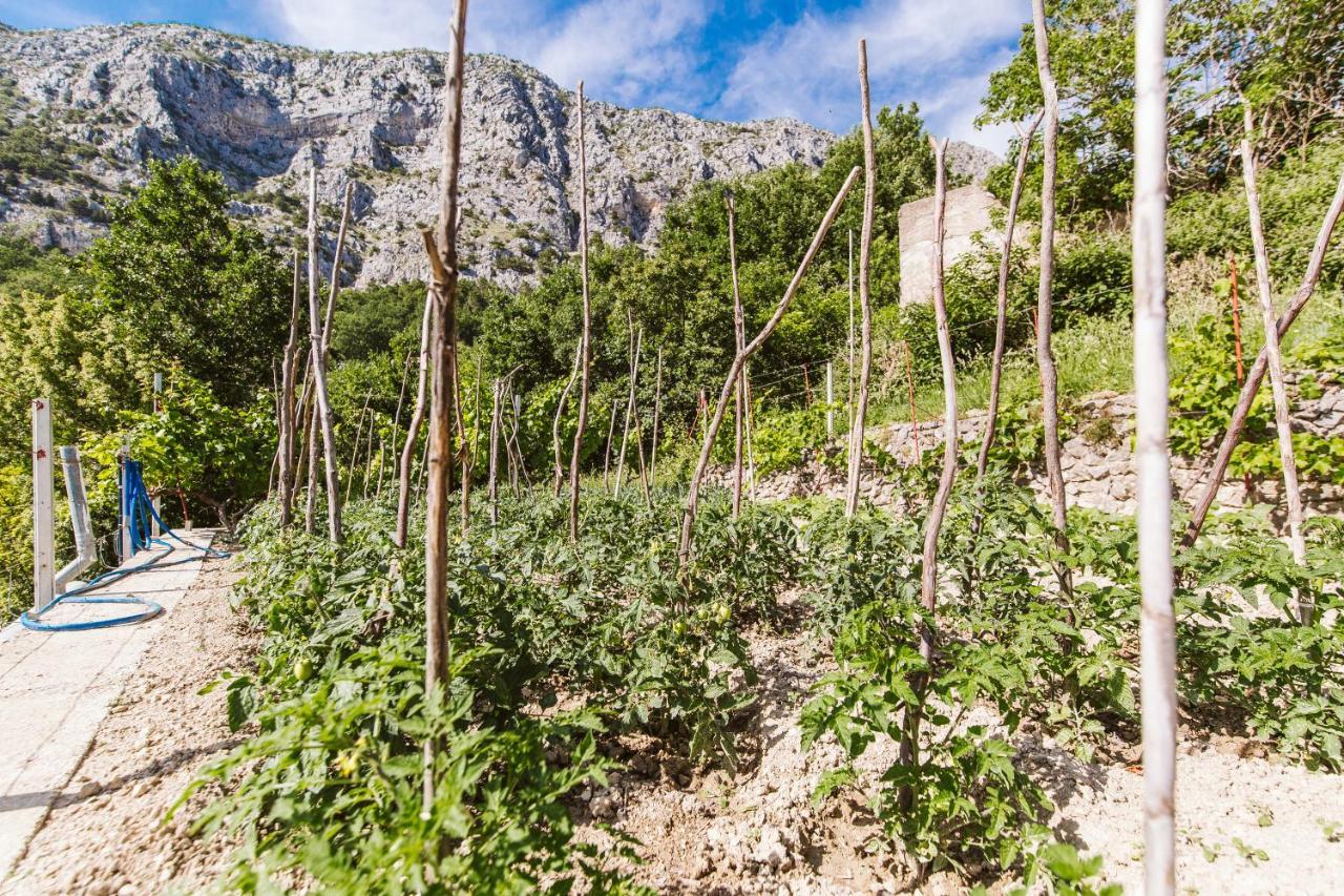Apartment Kuzmanic Lokva Rogoznica Εξωτερικό φωτογραφία